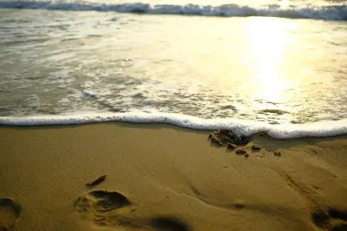 Plage